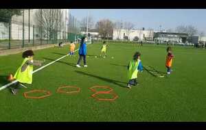 Saison 2020-2021 (écourtée par la crise sanitaire)