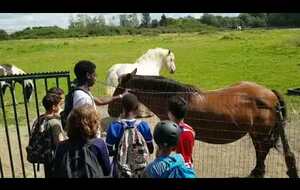 Stage pré-saison U12 (Coach Miloud)