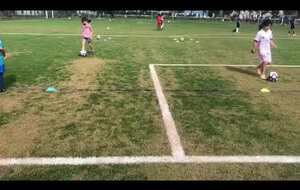 Saison 2020-2021 (écourtée par la crise sanitaire)