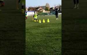 Saison 2020-2021 (écourtée par la crise sanitaire)